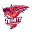 Trinity Indonesia | Anarchy Economy & Skyblock Tycoon icon