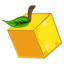 CitrusSMP icon