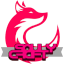 Souly.Live icon