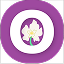 Orchid Towny icon