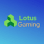 Lotus Network icon