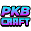 PLAY.PKBCRAFT.RO icon