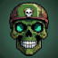 Survify icon