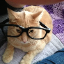 NerdcatPVP icon