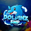 DolpinzSMP icon