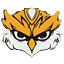 CesuRNetwork icon