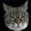 mcmaukissa icon