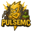 PulseMC icon