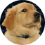 New Horizons icon