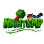 NightSMP icon