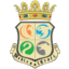 Medievalcraft icon
