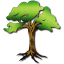 Terraconia icon