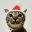 hr's Server icon