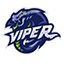 ViperMC icon