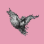 Ravenstale - Survival icon
