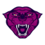 Hira Network icon
