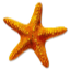 MC Beach Club icon
