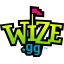Wize : Capture the Flag icon