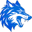NAVELYA NETWORK icon