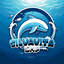 silvavita smp | server minecraft icon