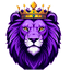 PentaNetwork icon